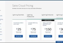 Salesforce CRM cost