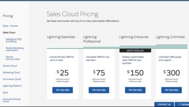 Salesforce CRM cost